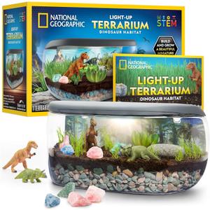 NATIONAL GEOGRAPHIC Light Up Terrarium Kit for Kids - Build a Dinosaur Habitat with Real Plants & Gemstones, Science Kit Gift for Boys & Girls, Dinosaur Toys for Kids 