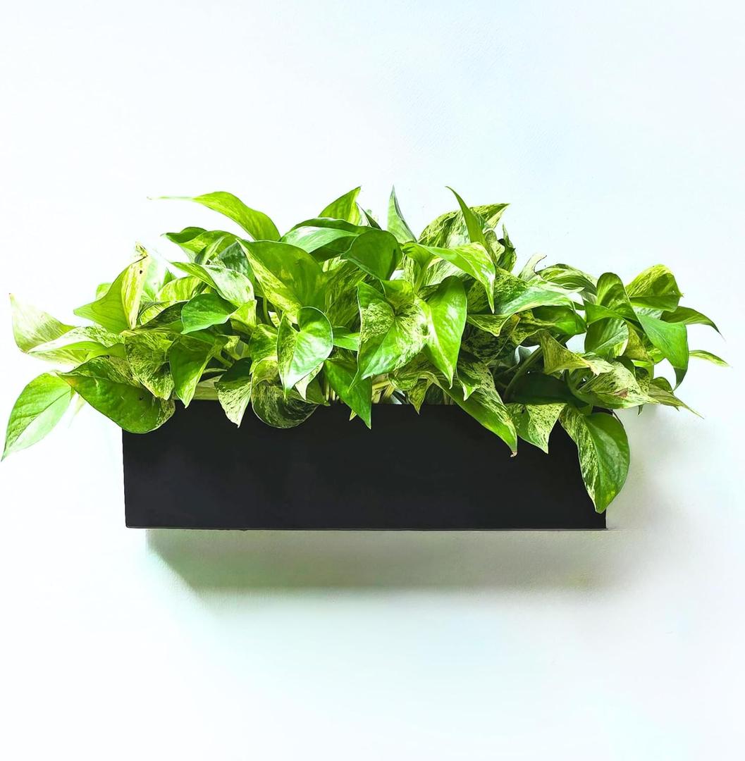 LaLaGreen Wall Planter (16 Inch, 1 Pack) Rectangular Metal Hanging Flower Pot for Succulents Carbon Steel Black, Long Window Sill Box Modern Fence Floating Garden Shelf for Deck Indoor Outdoor Decor