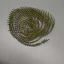 findmall 1-1/2 Inch 3600 Count Siding Nails 15-Degree Wire Collated Coil Full Round Head Hot-Dipped Galvanized Siding Nails