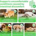 Dog Probiotics & Digestive Enzymes  Pumpkin Fiber Chews for Gut Health, Diarrhea & Upset Stomach Relief, Gas & Stool Support, Beef Flavor Soft Chews  90 Count