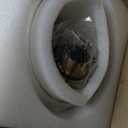 AUTELO 2 Pack Gold Pendant Lights, Glass Pendant Lights Kitchen Island with Clear Drum Glass, Industrial Pendant Ceiling Lights with Adjustable Rods for Kitchen Dining Room Bar, H9385 BG-R-2PK