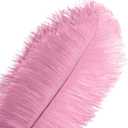 Piokio 10 pcs Pink Ostrich Feathers 14-16 inch(35-40 cm) Bulk for Wedding Party Centerpieces, Gatsby Decorations