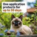 Amazon Basics Topical Flea Treatment for Medium Cats (5-9 Pounds), 4 Count