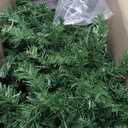 Sweetcrispy 4.5ft Christmas Tree with Lights, Green Pre-lit Artificial Christmas Tree with 347 Branch Tips, 120 Incandescent Lights & Foldable Base for Home, Office, Party