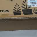 2Pack 4 FT Artificial Norfolk Pine Topiary Trees | UV-Resistant Potted Faux Shrubs for Front Porches, Gardens and Entryways; Realistic Greenery with Easy-Care Appeal.