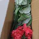 Artificial Geranium Fake Flowers for Outdoors Decoration, 6 Bundles Silk Geraniums Flower UV Resistant Look Real Faux Plants for Outside Planter Front Door Garden Patio Balcony Yard Home, Hot Pink