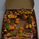 22 Inch Fall Wreath Artificial Autumn Wreaths for Front Door Orange Tulip Wreath with Forsythia Daisy and Berries for Indoor Outdoor Harvest Thanksgiving Holiday Celebration (Multicolor-1)