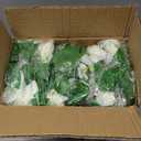 YRIOWMI 10PCS Fake Rose Garland, 7.5Ft Artificial Vines Flowers Hanging Rose Vine for Table Wedding Backdrop Arch Wall Party Mantle Festival Decor (Snowy White)