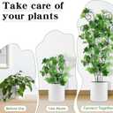 ZOUTOG Trellis for Climbing Plants Indoor 4 Pack 30 Inch,Rustproof Metal Garden Trellis for Potted Plants,Sturdy Houseplant Support Indoor Outdoor for Ivy Pothos Monstera Hoya Flower Vine (Black Moon)
