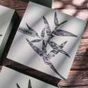 Reed Diffuser - Grapefruit & Osmanthus 6.76oz200ml 2 Packs Flower Essential Oil Reed Diffuser Set with 16 Sticks - Long Lasting Fragrance for Home Bedroom Bathroom Room Shelf Decor