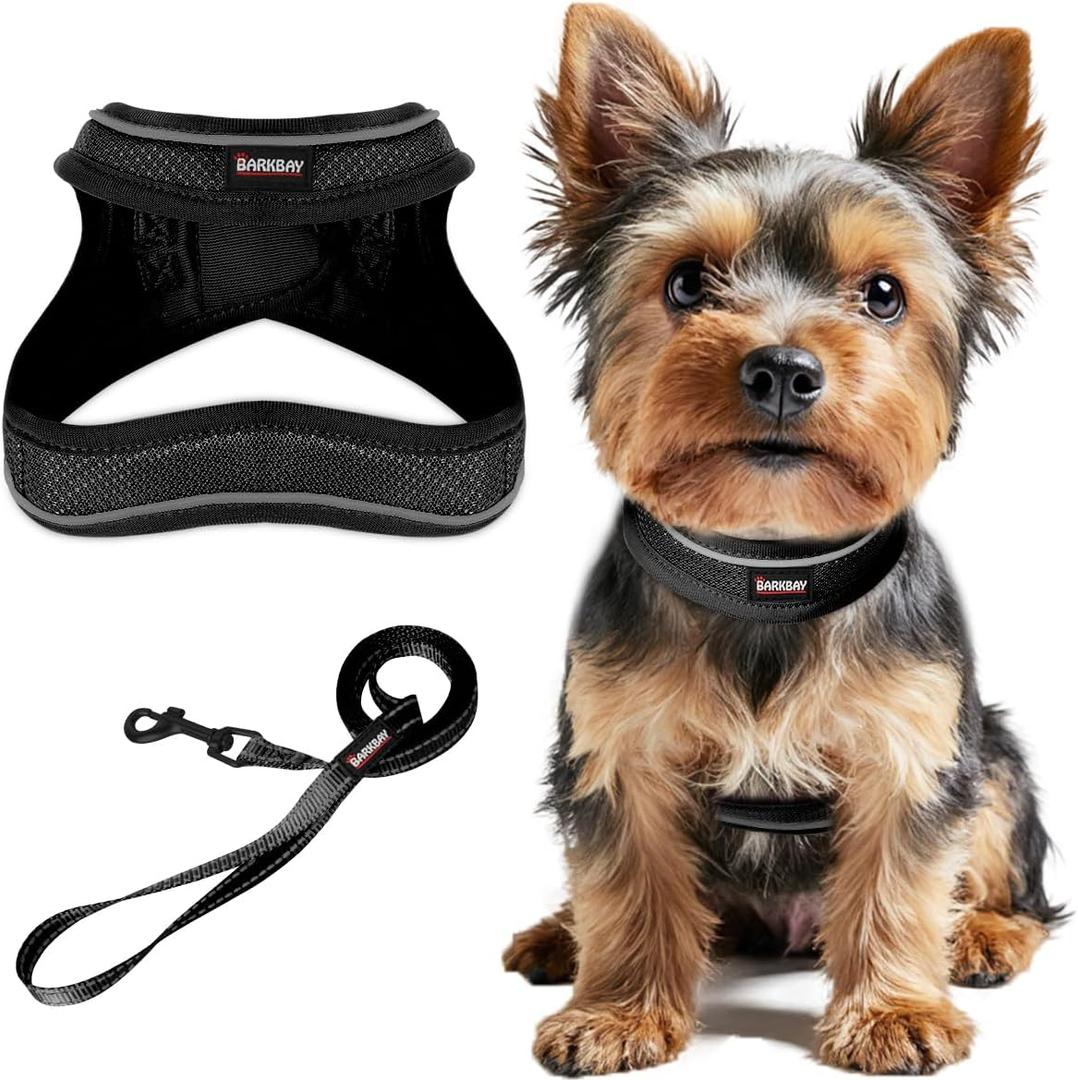 Dog Harness and Leash Set,Step in Small Sized Dog Harness,Soft Mesh,No-Chock,Reflective Adjustable,Secure with Hook & Loop Fastener (Black,XXS)