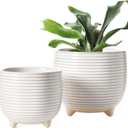 LE TAUCI Ceramic Plant Pots, 5.1 + 6.4 Inch Footed Pots for Plants, Modern Flower Pots for Home and Office, Indoor Planters with Drainage, Reactive Glaze White