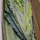 55" Fake Ferns, Set of 2 Artificial Ferns for Outdoors Large, Artificial Boston Ferns with 111 Fronds for Garden Porch Home Spring Decor