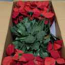 Alupssuc 8 Pack 7 Heads 17in Poinsettia Christmas Flowers Artificial Velvet Fake Poinsettia Bouquet, Indoor & Outdoor Christmas Tree Decorations for Vase Table Porch Garden Decor, Red