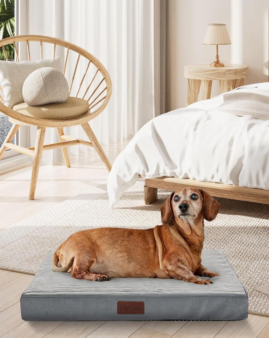 OhGeni 24 Inch Orthopedic Waterproof & Machine Washable Dog Bed for Small Pets, 20D Egg Crate Foam Stable Support, Non-Slip Bottom and Removable Cover, Tear-Resistant Invisible Durable Zipper(Gray) (24.0"L x 16.0"W x 3.0"Th)