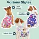 Pet Soft Dog Diapers Female Onesie Sanitary Pantie with Adjustable Suspender, Colorful Pattern Washable Puppy Diapers Female, Super Absorbent Underwear Dog Diaper for Heat (Nature, M)