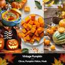 2 x Vintage Pumpkin Candle  Warm Holiday Pumpkin Scent, Cozy Christmas Winter Seasonal Candles for Home, Hand-Poured Soy Candles for Christmas Dcor & Cozy Gifting (Black-7oz)