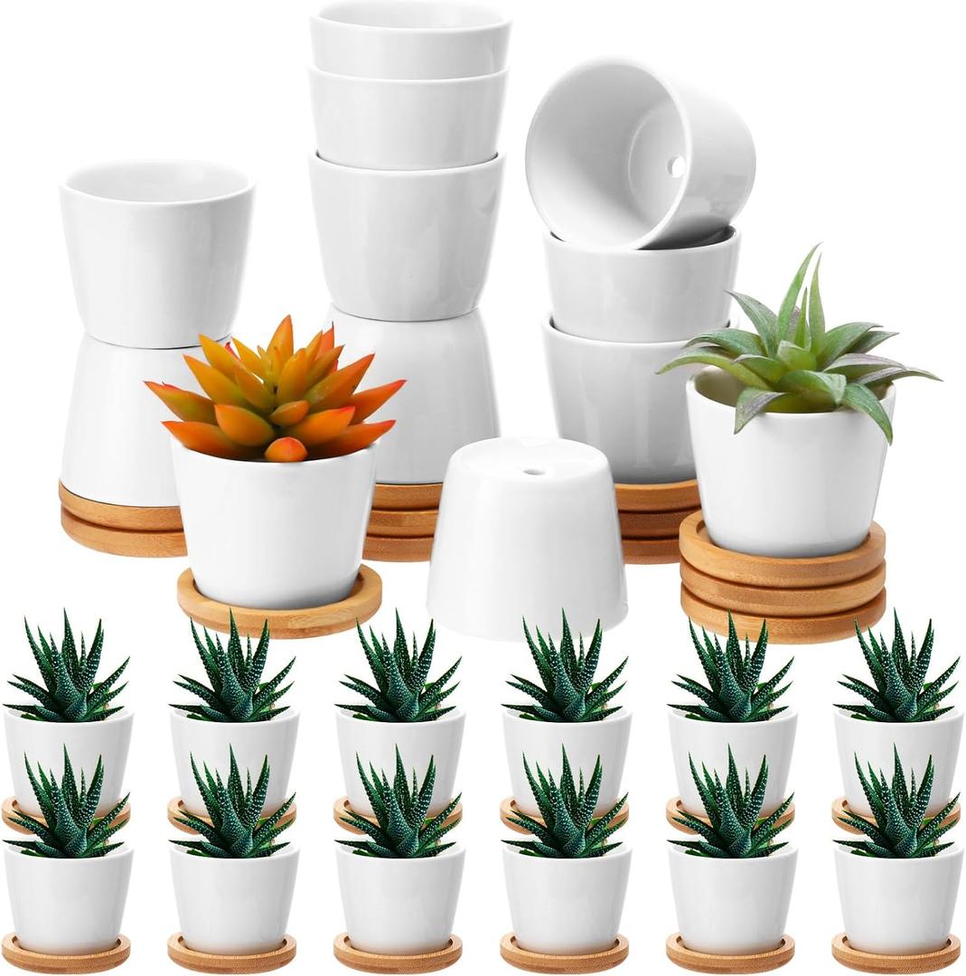 Hsei 24 Pack 2.5 Inch Mini Succulent Plant Pots Small Ceramic Flower Pot with Bamboo Tray Garden Cactus Herb Container, Home Office Decoration for Birthday Wedding(White)