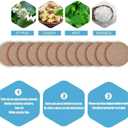 2 x 20PCS Motion Sickness Patches, Anti Nausea Sea Sickness Patch for Cruise, No Side Effects for Car and Boat Rides, Ships, Cruise and Airplane & Other Forms of Transport - for Adults and Kids (20PCS)