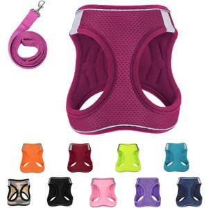 1-2 Pack Dog Harness with Leash SetNo-Pull Pet Harness with 1 Leash Clips, Adjustable Soft Padded Dog Vest for Extra-Small/Small Medium Large Dogs and Cats(Red,Medium)