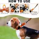 Martingale Collar for Dogs,Reflective Martingale Dog Collars with Quick Release Buckle,Adjustable Nylon No Pull Dog Collar for Walking Training(Blue, Extra Large) (Medium, SUPER-Orange)