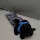 CATSUMO Cat Wrestling Glove Puppet Toy – Interactive Hand Mitt with Durable Protective Sleeve and Catnip  Play & Enrichment