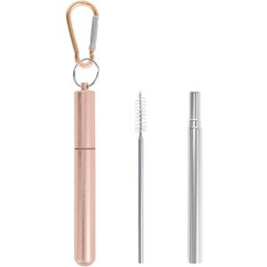 Collapsible Metal Straws, Travel Drinking Straws with Case, Keychain and Cleaning Brushes, Cruise Essentials（2 Pack, Rose Gold and Silver）