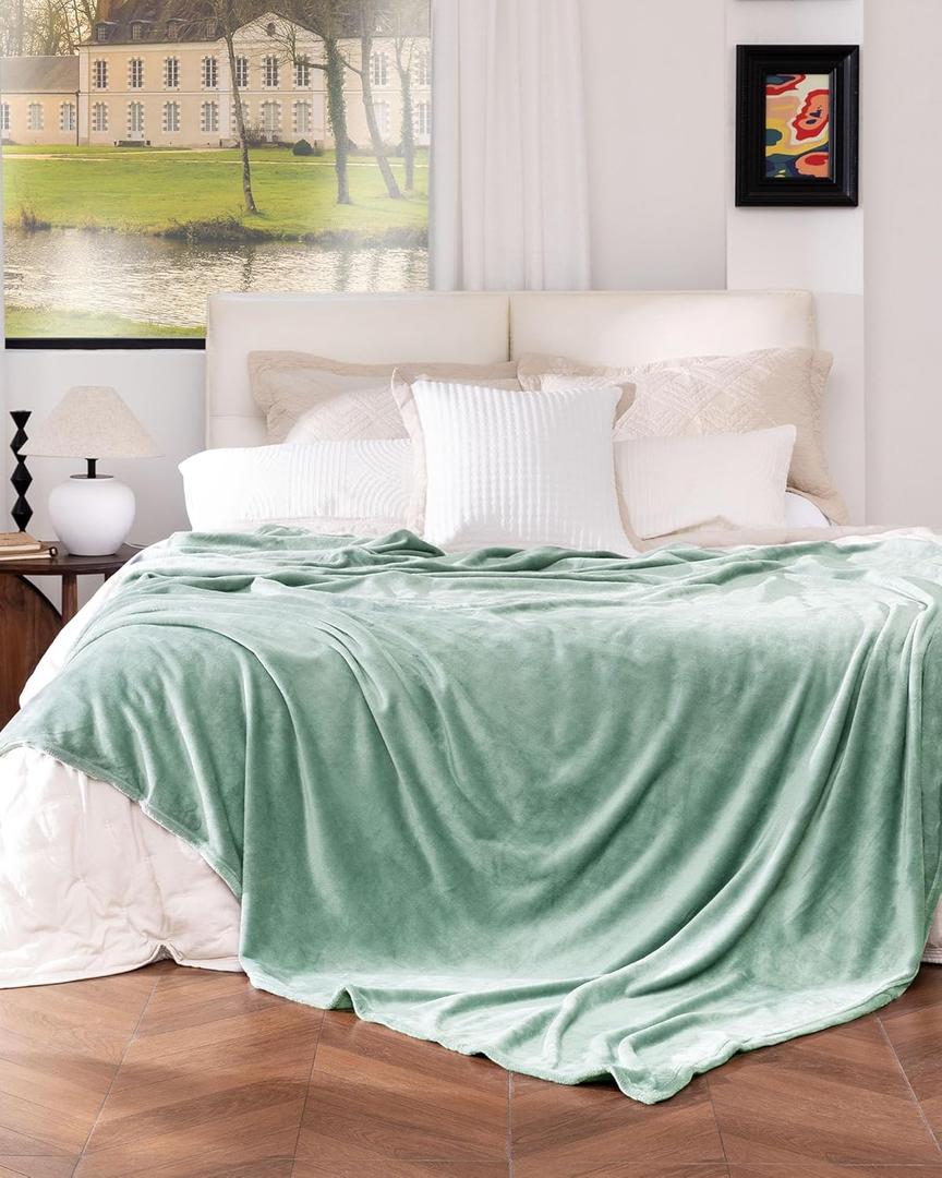 Sage Green Fleece Blanket Queen Size, Soft Cozy Blankets for Bed and Couch, Machine Washable Luxury Microfiber, Lightweight Portable Plush Blanket for Travel, Camping, Pets, Women, Adults (Queen(90"x90"))