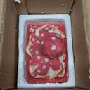 Blue Sky Clayworks 17629 Octopus Butter Dish, 5-inch Height