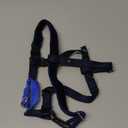 2 Hounds Design Freedom No Pull Dog Harness, Adjustable Harness and Leash Set, Easy Walking & Comfortable Control, Fits Small, Medium & Large Dogs, Solid Colors, Made in USA, 1" LG, Royal Blue