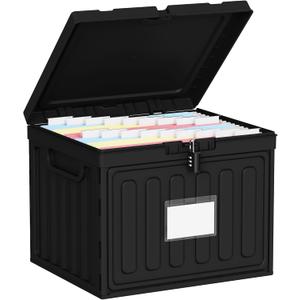 Oterri Plastic File Box with Lid for Letter Size Hanging File Folders, Hanging File Folder Box for Home, Office, School, File Cabinet, Assembly File Organizer, BlackLarge-1 Pack Without Folders