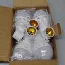 Neporal LITE Emergency Rechargeable Light Bulbs A19, Light Up to 48 hrs, Battery Operated Light Bulb, 5000K E26 LED Bulb, Emergency Lights for Home Power Failure