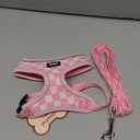 PUPTECK Soft Mesh Dog Harness and Leash Set Pet Puppy Cat Comfort Padded Vest No Pull Harnesses, Checkered Pink&White, S (S (NECK: 12", CHEST: 14"-18"))