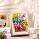 Fumete 100 Pcs Mini Dried Baby Breath Flowers Gypsophila Ivory Mixed Color Dried Flowers for Vase Wedding Home Office Party Garden Card Making Decoration Wreath Floral Craft DIY Art