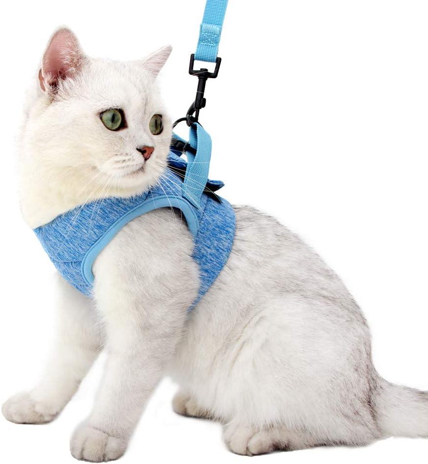 HEYWEAN Cat Harness and Leash - Ultra Light Escape Proof Kitten Collar Cat Walking Jacket with Running Cushioning Soft and Comfortable Suitable for Puppies Rabbits (Medium, Blue)