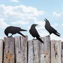 Set of 3 Metal Raven Statues - Gothic Crow Decor for Outdoor Fence Topper, Garden, and Halloween Displays | Fake Crow Ornament for Witchy Garden Decor Yard, Patio & Lawn | Unique Halloween Raven Gift