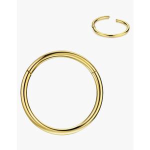 FANSING Men Women 316L Surgical Steel Hinged Nose Rings Hoop for Nostril Septum Cartilage Helix Daith Tragus Rook Conch Lip Ear Lobe Piercings