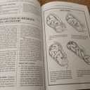 What to Expect When You're Expecting