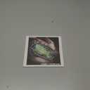 Souvenirs Of A Misspent Youth