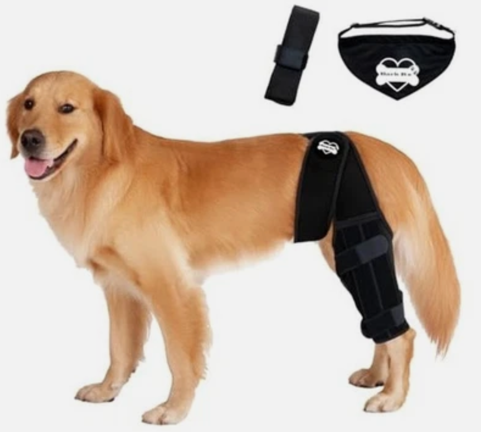 Bark Rx: Dog Knee Brace Hind Leg - Orthopedic Brace for Dogs - Integrated Support Strap for Canine Cruciate Ligament, Luxating Patella, Dislocation Injury - Includes Bandana Collar - Black, Large 