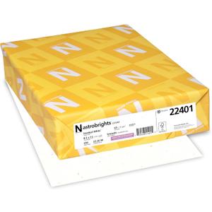 Astrobrights Colored Cardstock, 8.5 x 11, 65 lb/176 gsm, Stardust White (Multi-Color Flecked), 250 Sheets (22401)