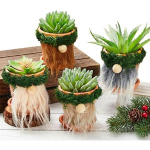Taiyin 4 Pcs Gnomes Succulent Planter Bulk Garden Pots Outdoor Flower Pot Cactus Plush Tray Cute Spring Gnome Gifts Home Farmhouse Decorations for Yard