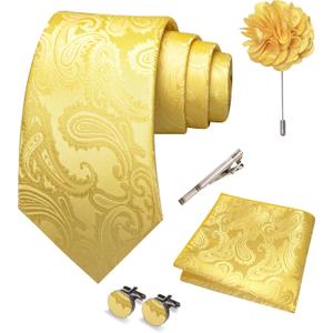JEMYGINS Mens Paisley Tie and Pocket Square,Lapel Pin,Cufflinks,Tie Clip Sets with Gift Box 5PCS