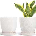 6 Inch Ceramic Plant Pots, Indoor Plant Pots with Drainage Hole & Saucer, Flower Pots, Unique Crackle Glaze Design, White Glaze - Set of 2
