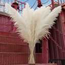 10pcs 40'' White Pampas Grass Tall Decor - Pompas Floral, Tall Pampas Grass for Floor Vases, Living Room Floor, Floor Plants, Plumas para, and Grass Wall Decor (10PCS-White-40")