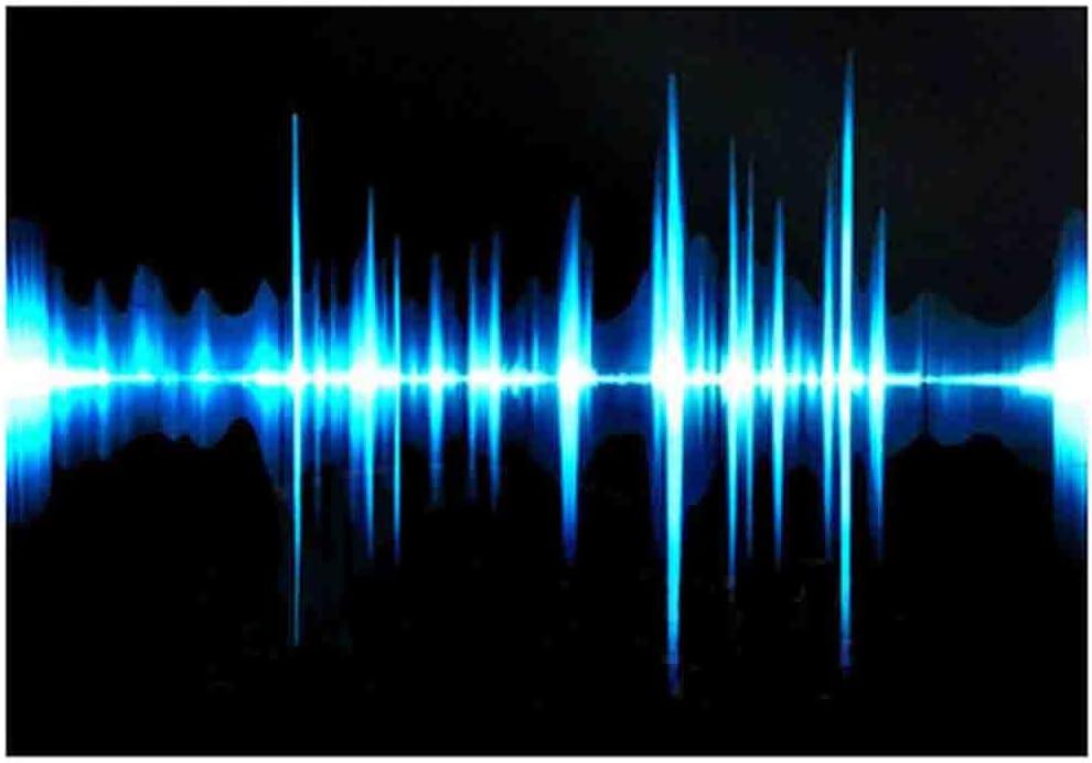 Sound Luminous Activated Equalizer for T-Shirt Hoodie Sweater LED Flashing Men Novelty Clothing Party DJ Music Show Wear for Adults and Kids, N
