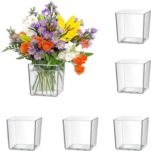 6 PCS Clear Nursery Pot, Plastic Cubes Flower Pot Decorative Vase Potted Square Container for House Plants, Cactus, Flowers, Orchid, 3.15 Inch