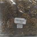 Winlyn 20 Pcs Gold Pine Cone Picks Christmas Ornaments Pinecone Floral Picks Decorative Natural Pinecone Wired Stems 6.9" Tall for Christmas Tree Floral Arrangements Holiday Crafts Seasonal Decoration