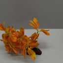 JGbaby Artificial Aquarium Plants,Fish Tank Decorations Betta Leaf Hammock Driftwood 10in Realistic Silk & Plastic Plants, Hideout Decor for Betta. Goldfish,Reptiles,Small Tanks (YellowType-B)