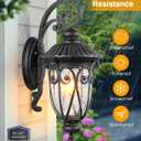 VIANIS Large Outdoor Wall Lights Dusk to Dawn, Black Outside Lights for House, Waterproof Outdoor Light Fixture for Porch, Entryway, Garden, Seed Tempered Glass, Vintage Style, Down Large 1PK